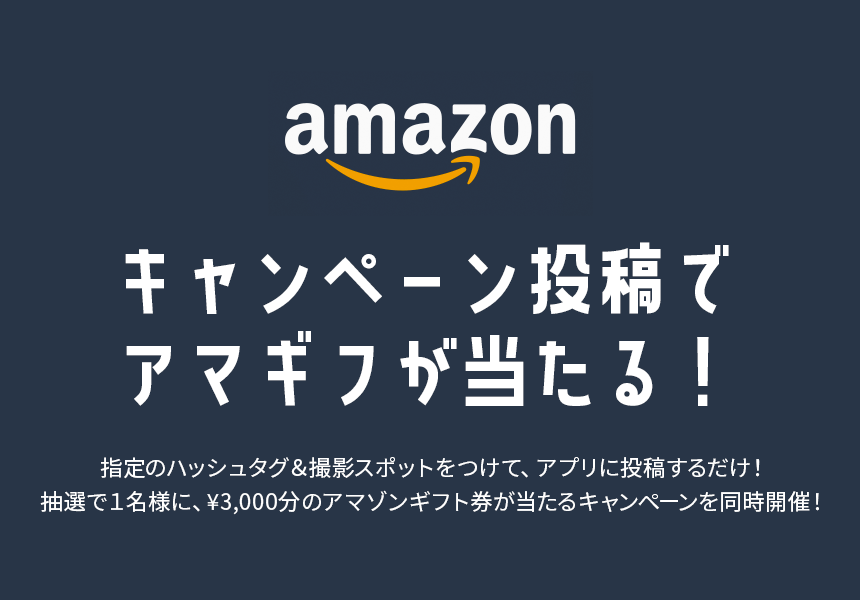 キャンペーン概要見出し