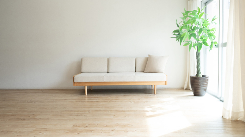 スタジオサリュー環七